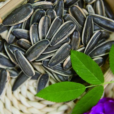 China The dry black striped sunflower seed 361 with factory price export for sale