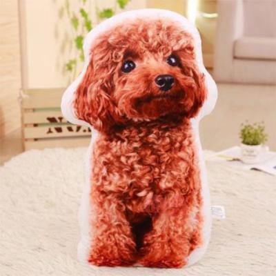 China Inflatable Soft Gift Pet Baby Face Print Custom Decorative Tiles for sale