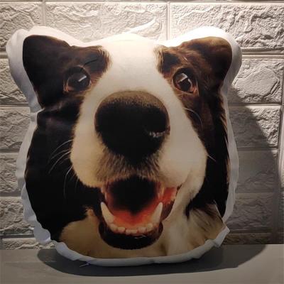 China Custom Inflatable Factory Printing Pet Pillow Shape Creative Plush Sofa Animal Cartoon Tile for sale