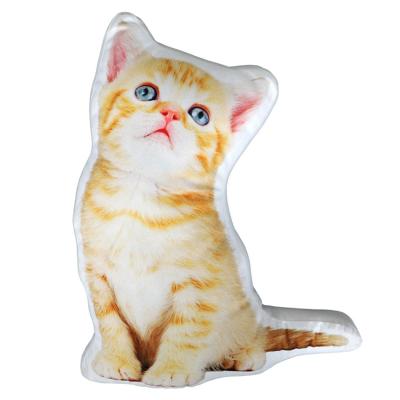 China High Quality Custom Printing Inflatable Home Decor Anime Pet Droship Pillow for sale