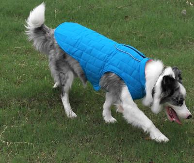 China Reflective Winter Cotton Warm Puppy Vest Clothes Cat Small Dog Down Coat Pet Jacket For Cold Weather for sale