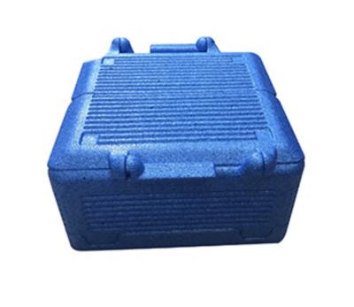 China Waterproof Plastic Insulated Light Weight, Foldable Waterproof PPE Foam Cooler Box Cold Keep Item Chest Cooling Box for sale