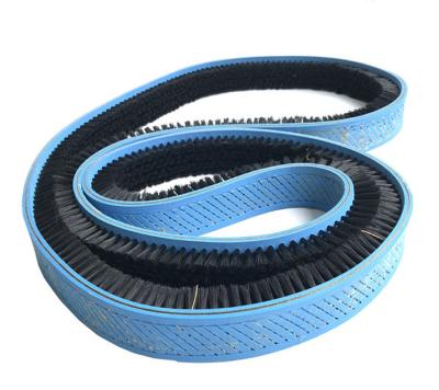 China 30mm Bristle Height Strip Shape Conveyor Belt Brush for sale