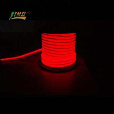 China LANDSCAPE shanghai liyu manufacturer new products flex led neon strip neon light for sale