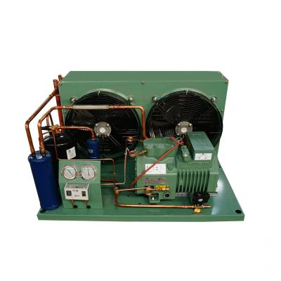 China 2020 Direct Selling Company Hotels Hot Cold Room Compressor Condensing Unit for sale