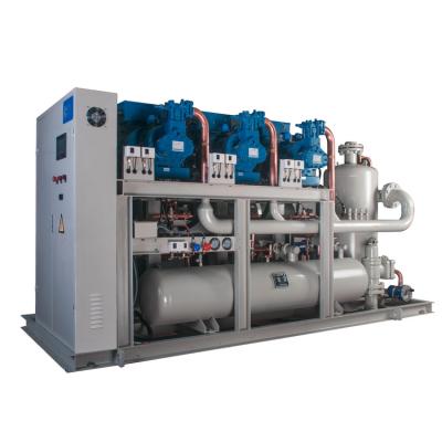 China Hotels Rack Condensing Unit With Multi Compressors Parallel Refrigeration System Of Piston Or Screw Types for sale