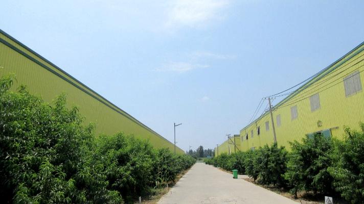 Verified China supplier - Caoxian Huashen Arts & Crafts Co., Ltd.