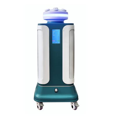 China Outdoor Space Home Sterilizer Air Sterilizer Air Ion Purifier For Commercial Sterilizer for sale