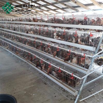 China 3 tier egg chicken poultry layer cages with manure collection belt for sale