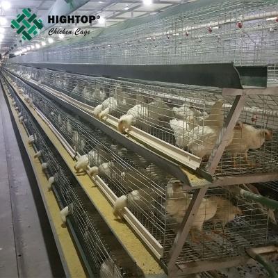 China Stable A type 3 tiers 72 capacity h type broiler chicken cage battery zu verkaufen