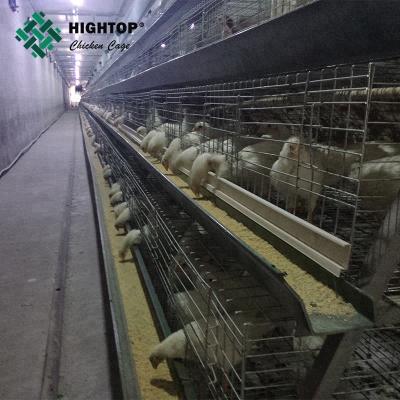 China Hot selling A frame 3 layers broiler battery cage for sale