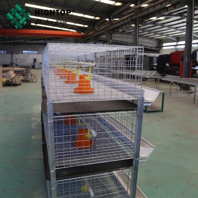 Chine High quality automatic broiler cage poultry equipment(manufacturer) à vendre