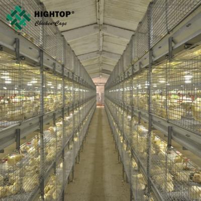 Chine automatic h style poultry broiler farm cages à vendre