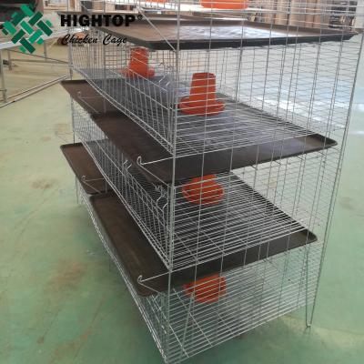 Chine China Factory baby pullet rearing chick cage à vendre