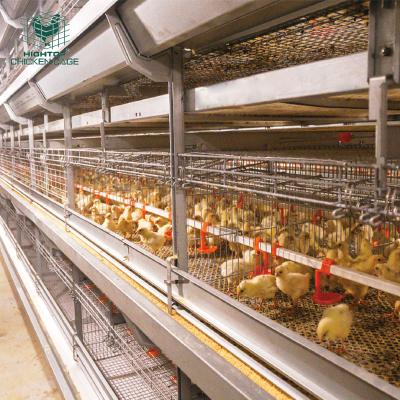 China Durable in use chicken breeding brooder cage of chickens for sale