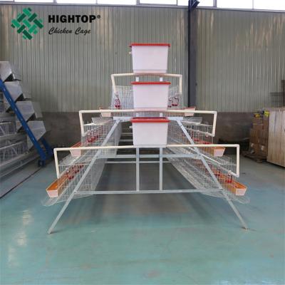 China chicken laying wire cage bird system for sale