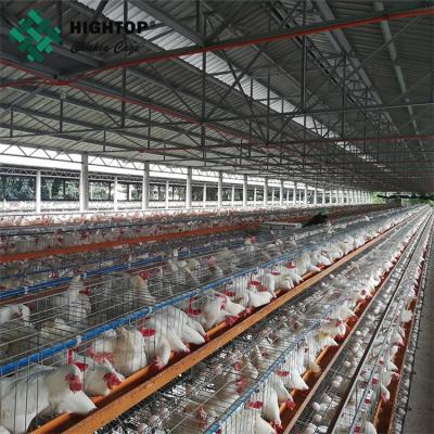 China Poultry farm house A type layer galvanized welded wire mesh egg chicken cage for sale