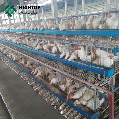 China 4 Tier 1000 Bird Poultry Farming Hot Dip Galvanized Battery Layer Chicken Cages for sale