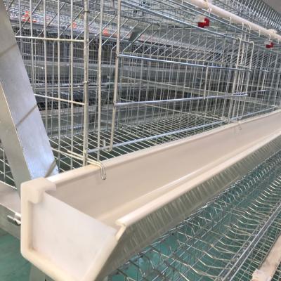 Cina Poultry farming equipment a type layer chicken cage with automatic system for sale in vendita