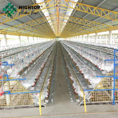 中国 A type layer chicken cages for modern fully automatic poultry farms 販売のため