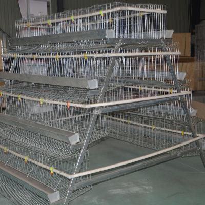 China poultry equipment galvanized layer 10000 chicken layer cage for sale