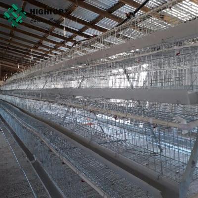 China A type layer wire mesh galvanized chicken lay egg cage for battery system for sale