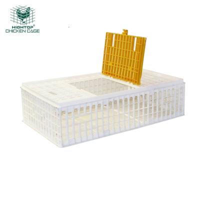 China Wholesale Big Size Reusable Foldable Chicken Crates Plastic Transport Boxes à venda