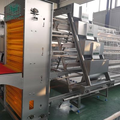 Cina Best Price Full Automatic A Type Layer Chicken Cage With Automatic Feeding Equipment in vendita