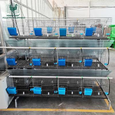 중국 automatic commercial rabbit farm cage system in kenya farm 판매용