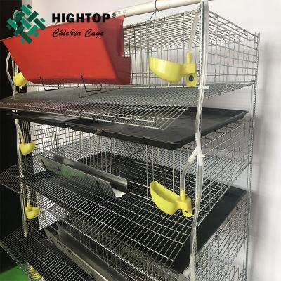 Cina 6 tier automatic wire mesh quail cage iron for sale philippines in vendita