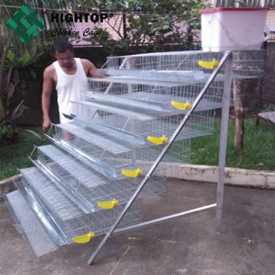 Cina wholesale commercial quail laying cage and water system in vendita