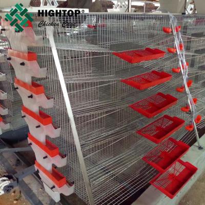 Κίνα hot sale commercial automatic feeding quail wire mesh layer cage προς πώληση