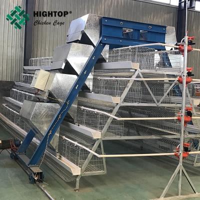 China Automatic chicken feeding machine/system for large scale chicken farm for sale