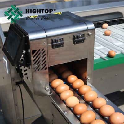 China stainless steel used eggs grader sorting equipment Te koop