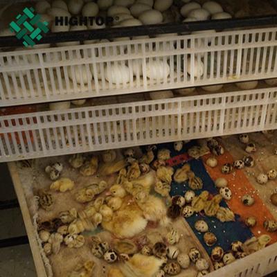 China china supplier new hot plastic 12 eggs pulp beer tray forming making machine price à venda