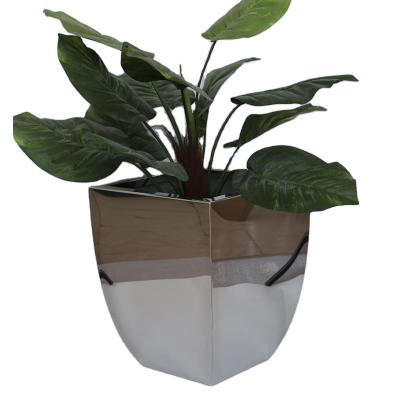 China Europe Best Price Cemetery Clear Different Shape Flower Pot for sale