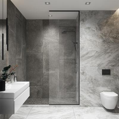 China Quiet Operation Seawin Framed Fixed Pattern Stainless Steel Panel Fit Saved Customized Aluminum Shower Door for sale