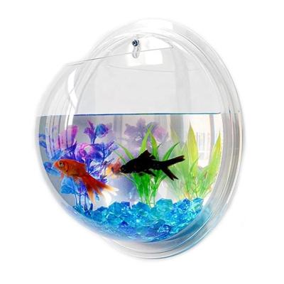 China Economic Customized Clear Acrylic Round Fish Bowl Wall Hanging Creative Viable Wholesale in Ahmedabad for sale