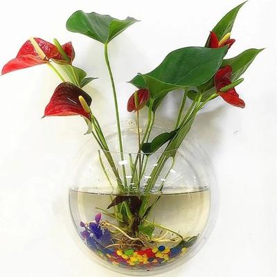 China Customized Wholesale Decorative Viable Home and Garden Christmas Water Plant Bowl Wall Mounted Aquarium for sale