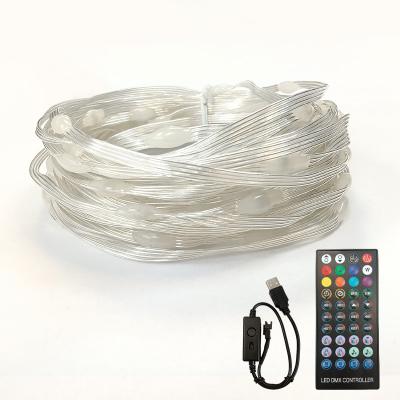 China APP Control 5M Decoration String App Control Copper Wire String Lamp Waterproof Outdoor Lights for Festival Garden Lights for sale