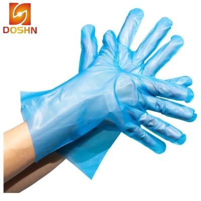 China Disposable Plastic Glove Pe Restaurant Sushi Food Cleaning Gloves Powder Free Strip Household Gloves for sale