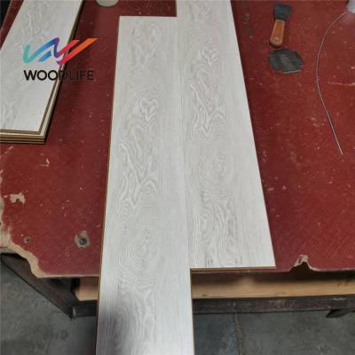 China Laminate Flooring Latest Version Mid Century AC3 Easy Installation Scratch Resistance for sale