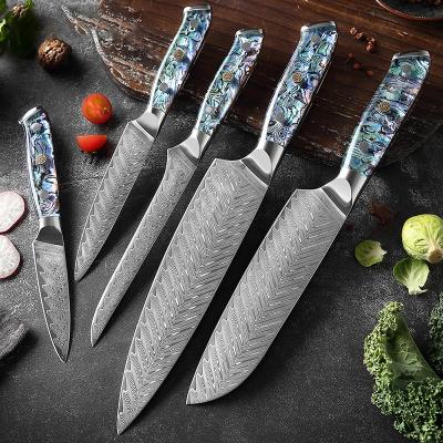 China High Quality Multifunctional Stocked Chef Utility Knife Abalone Resin Handle Sharp Gift Set of 67 Layer Damascus Steel Kitchen Knives for sale