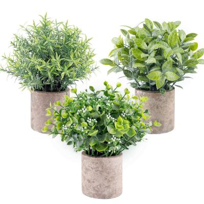 China Hot Selling Minimalist Set 3 Mini Potted Artificial Eucalyptus Plants Faux Plastic Green Rosemary Plant for sale