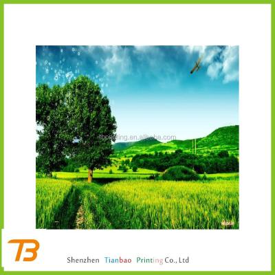 China Custom cheap 3d images of Europe beautiful of nature landscape for sale