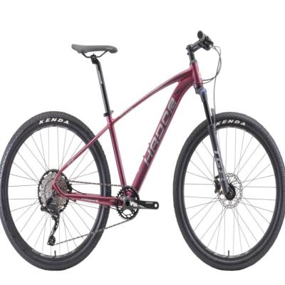 China 2021 best selling magnesium alloy mountain bike bicycles adult china bikes for wholesale for sale