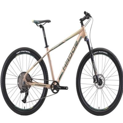 China Wholesale Bike Bicycle new model alloy mountain bike for men cycle mtb mountain bike for sale