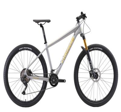 China Alloy China Factory Mountain-bike Men's Bike Mountain Bike For Sale for sale