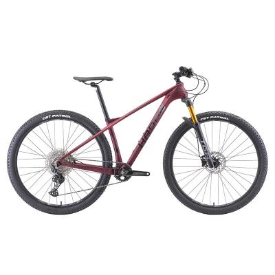 China Popular Carbon Mountain Bike With MTB Carbon Frame Magnesium Suspension Fork for sale