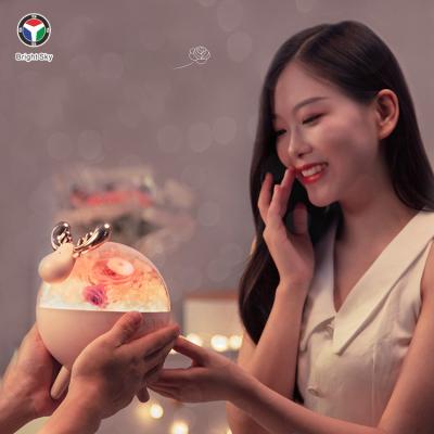 China Modern Atmosphere Lamp Bedroom Speaker Stereo Bluetooth Fawn Rose Talk Honey USB Lamp Lover Wedding Birthday Confession Gift for sale